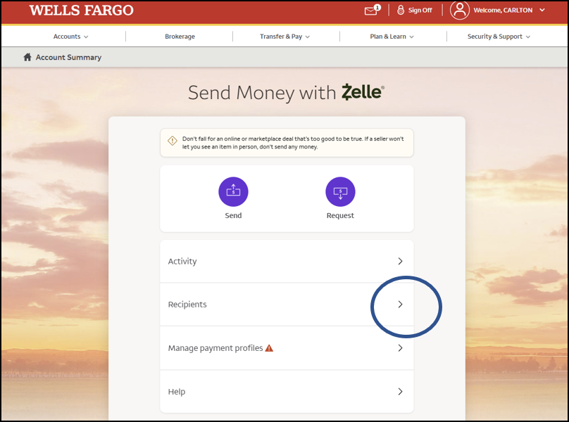 zelle for csis